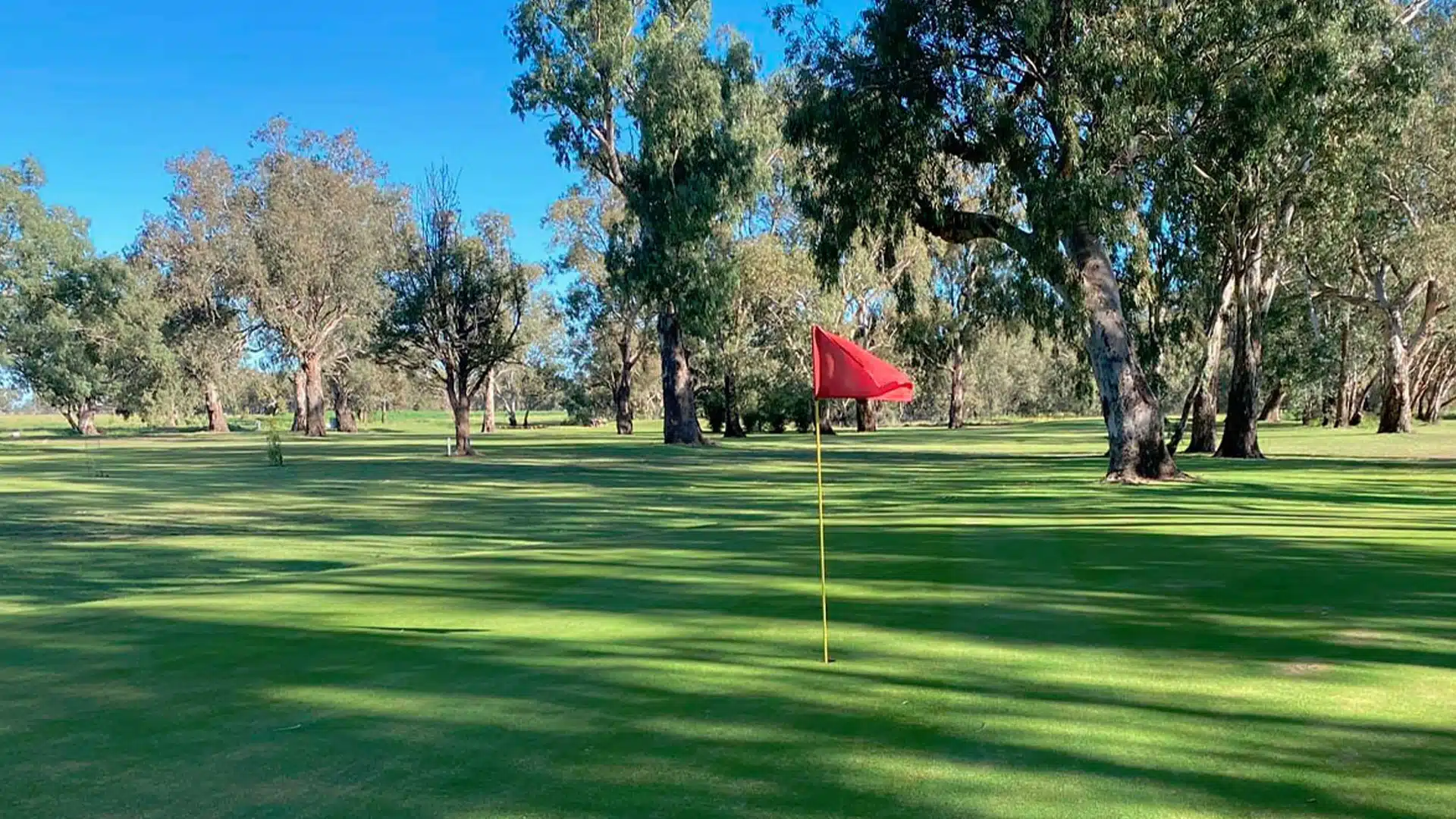 Warren Golf Club